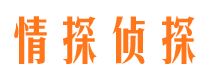 花山市侦探调查公司